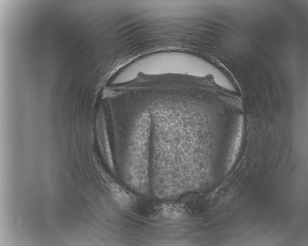 X0000057080345200510010205