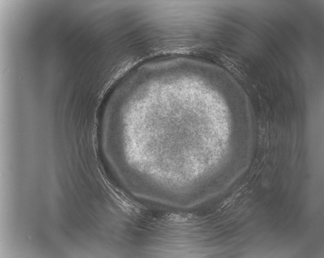 X0000057080346200510010205