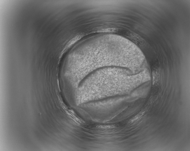 X0000057080349200510010205