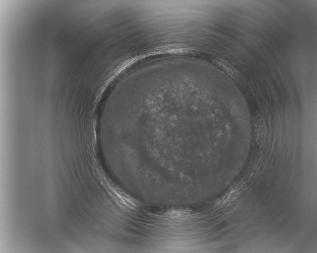 X0000057080350200510010205