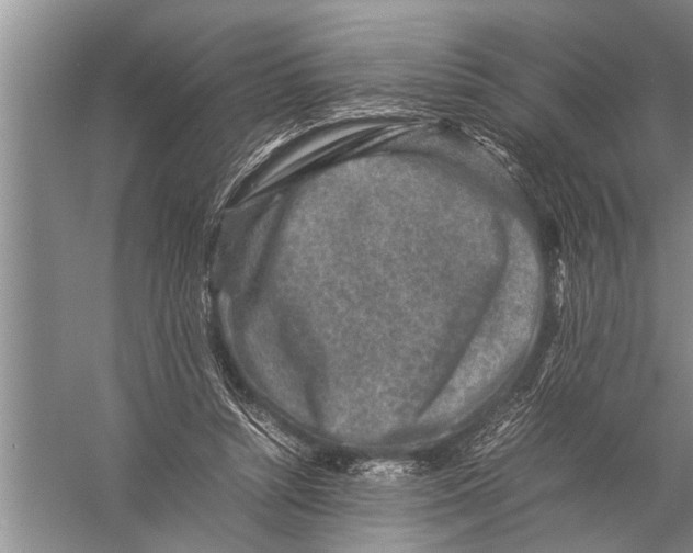 X0000057080352200510010205