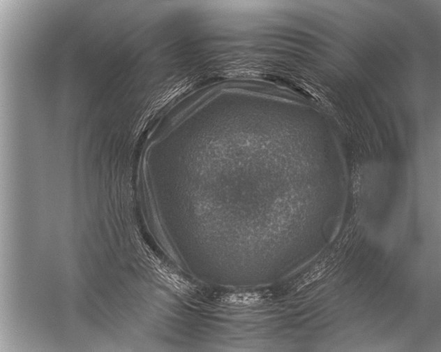 X0000057080353200510010205