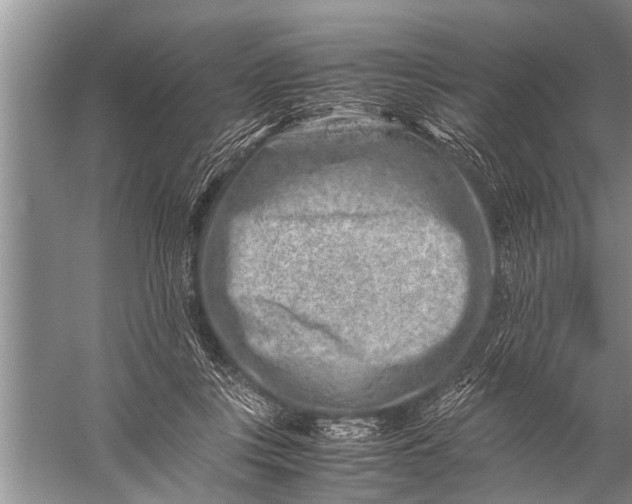 X0000057080359200510010205