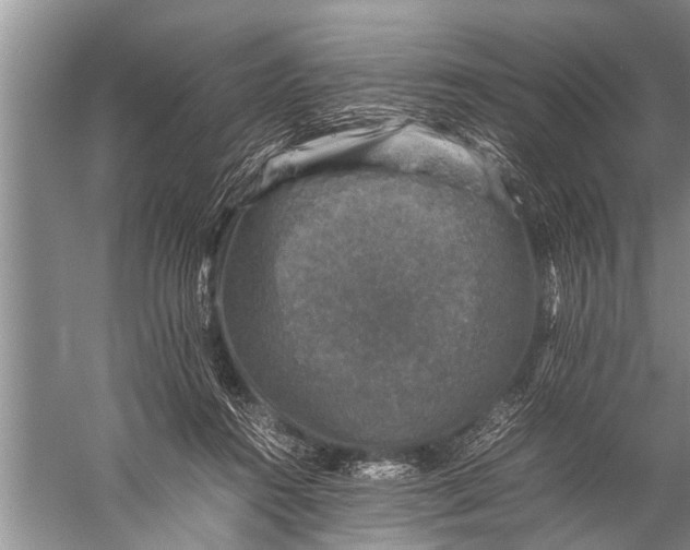 X0000057080360200510010205