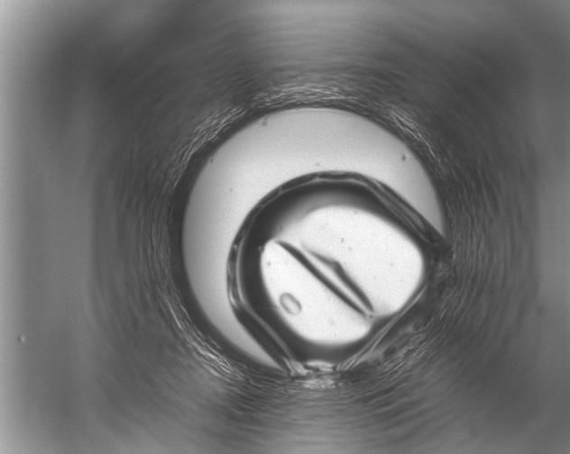 X0000057080362200510010205