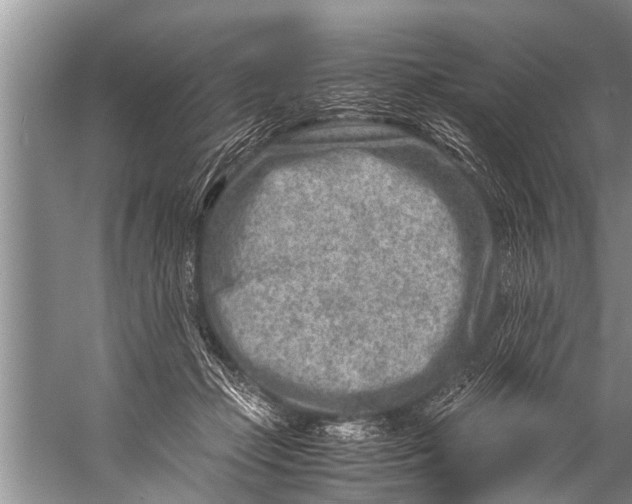 X0000057080365200510010205