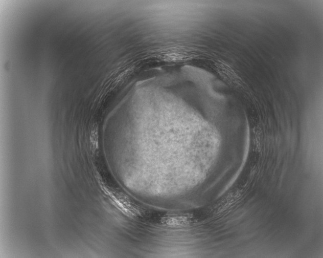 X0000057080368200510010206