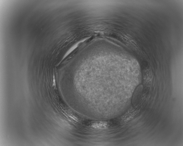 X0000057080369200510010206