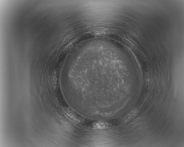 X0000057080372200510010206