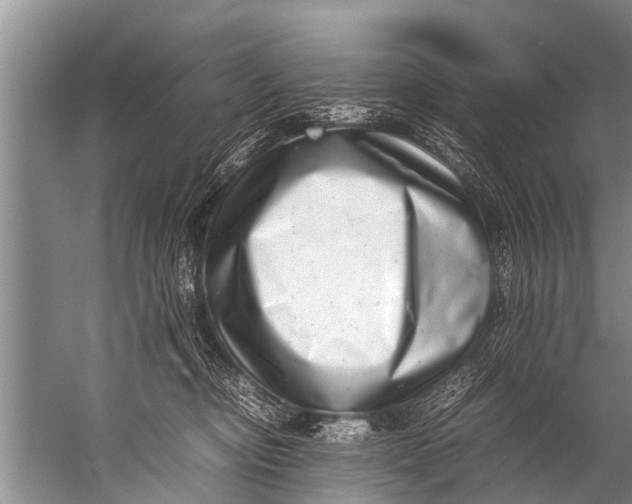 X0000057080374200510010206