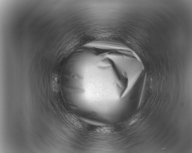 X0000057080378200510010206