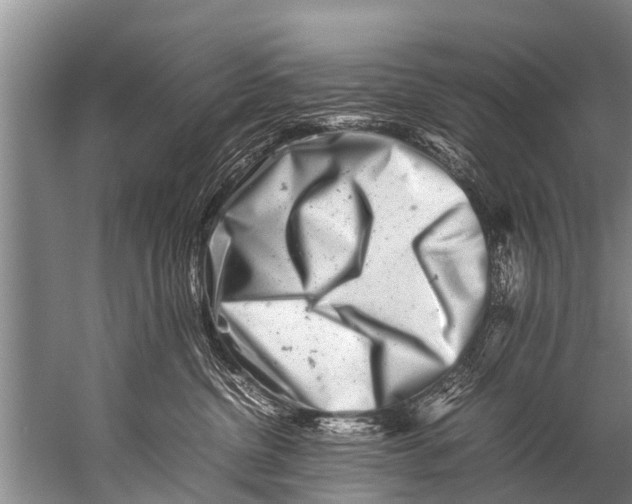 X0000057080380200510010206