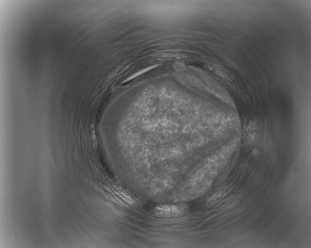 X0000057080381200510010206