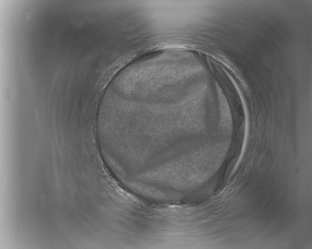 X0000057080385200510010205