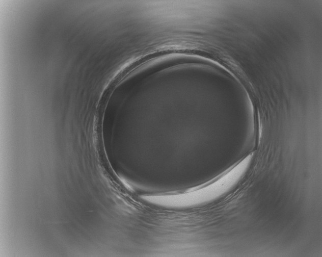 X0000057080387200510010205