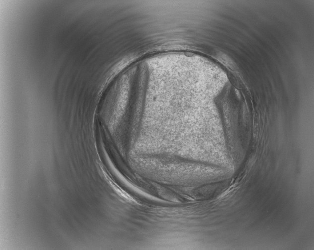 X0000057080389200510010205