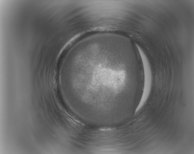 X0000057080392200510010205