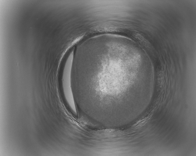 X0000057080395200510010205