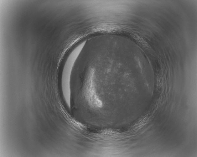 X0000057080399200510010205