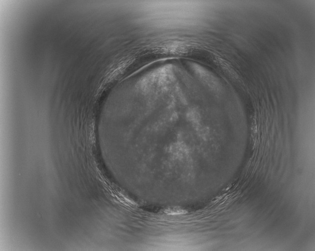 X0000057080403200510010205