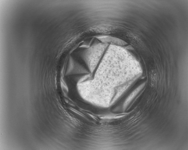 X0000057080404200510010205