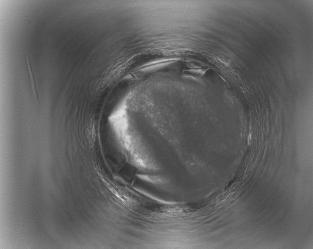 X0000057080405200510010205