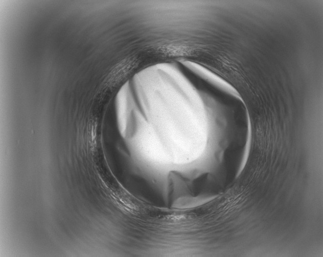 X0000057080406200510010205