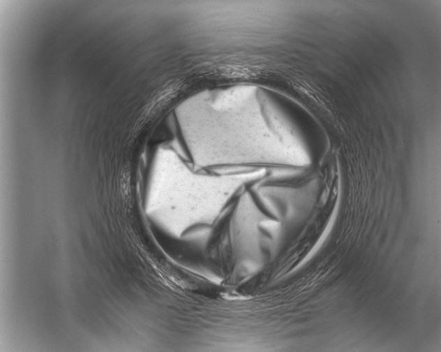 X0000057080407200510010205