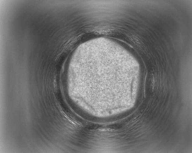 X0000057080408200510010205