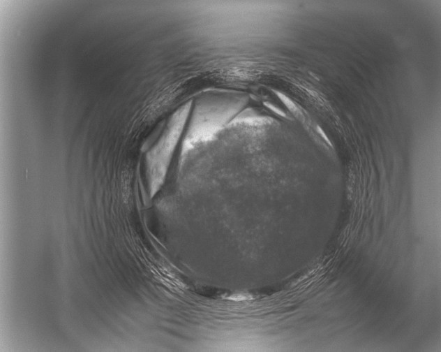 X0000057080409200510010205