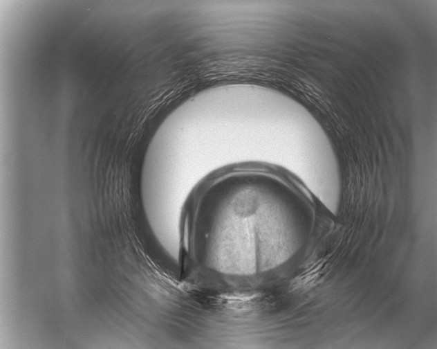 X0000057080412200510010205