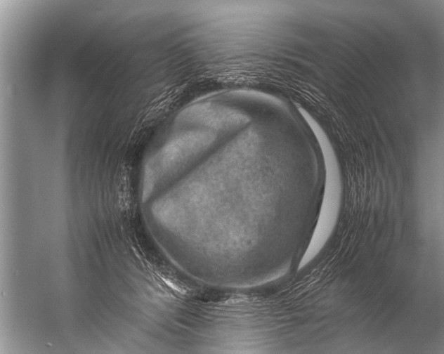 X0000057080416200510010204