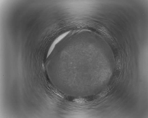 X0000057080417200510010204