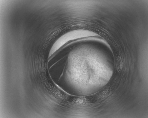 X0000057080420200510010204