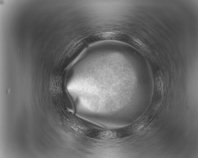 X0000057080421200510010204