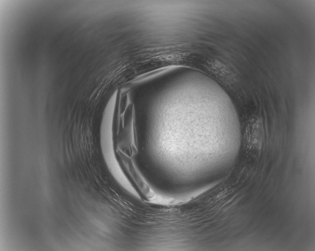 X0000057080424200510010204