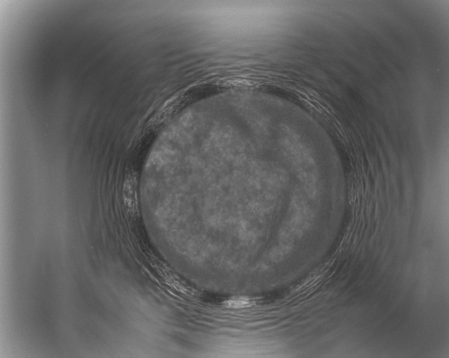 X0000057080425200510010204