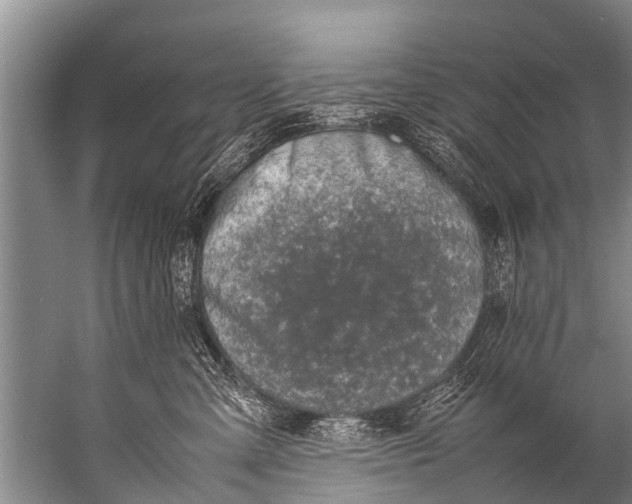 X0000057080427200510010204