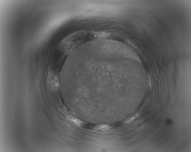 X0000057080431200510010204