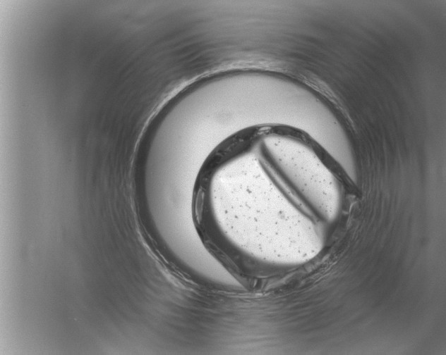 X0000057080436200510010203