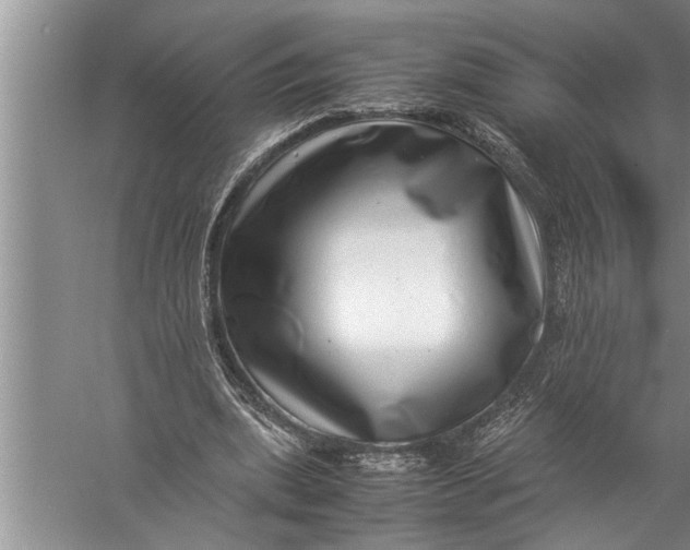 X0000057080439200510010203