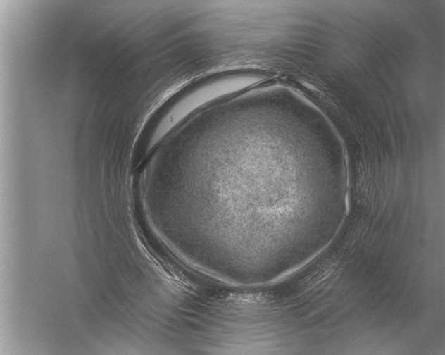 X0000057080440200510010204