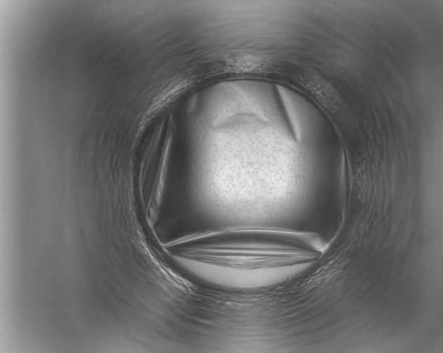 X0000057080442200510010204