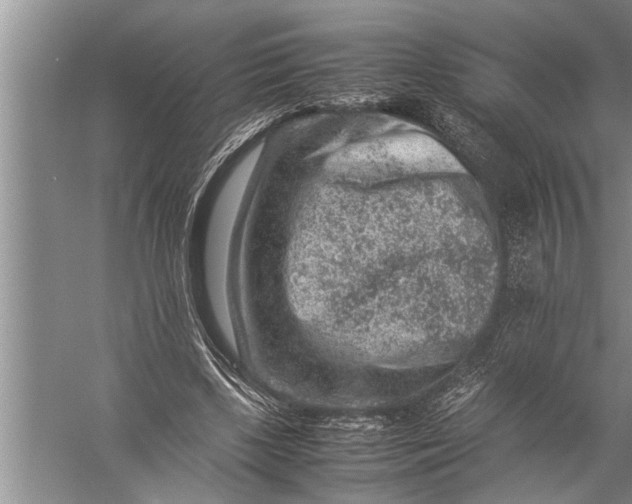 X0000057080443200510010204