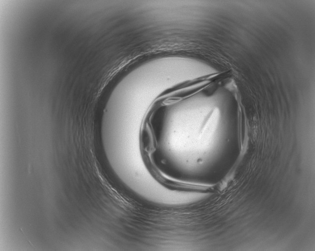 X0000057080448200510010204