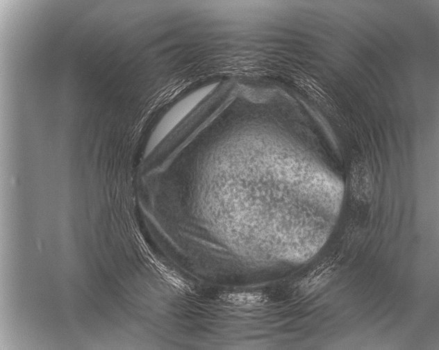 X0000057080449200510010204