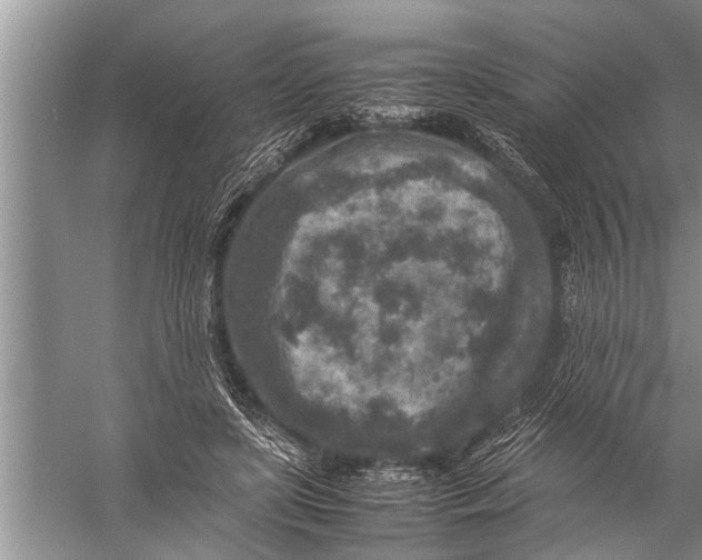 X0000057080451200510010204