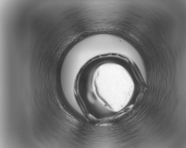 X0000057080452200510010204