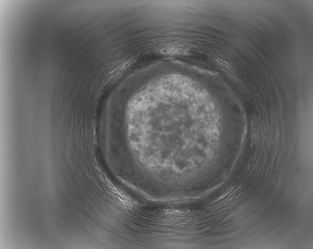 X0000057080453200510010204