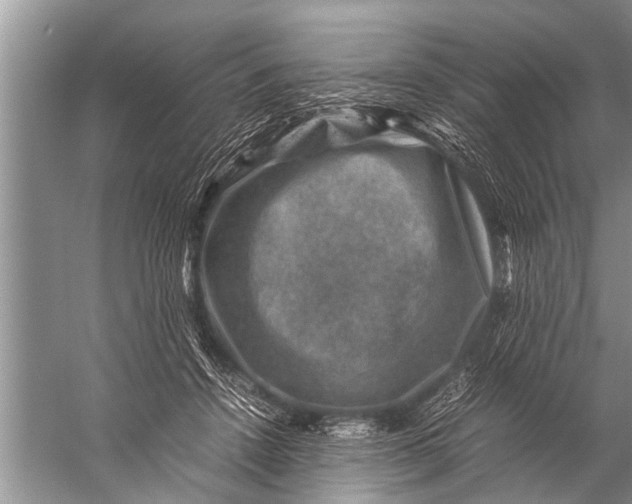 X0000057080456200510010204